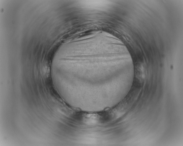 X0000088600324200706081359