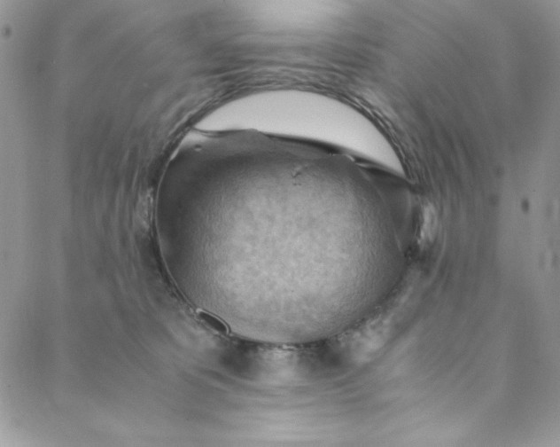 X0000088600325200706081359