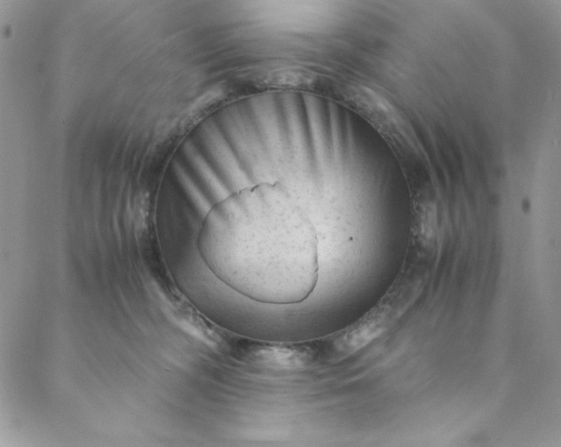 X0000088600326200706081359