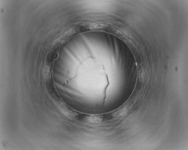 X0000088600327200706081359