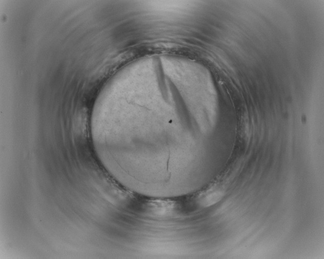 X0000088600328200706081359