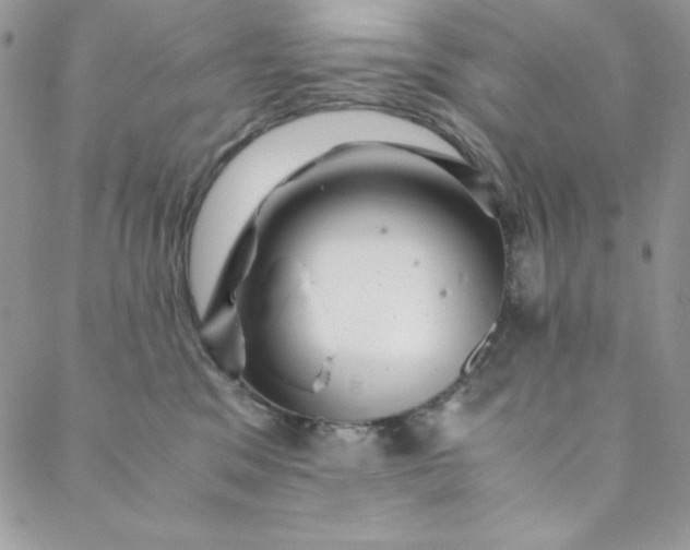 X0000088600329200706081359