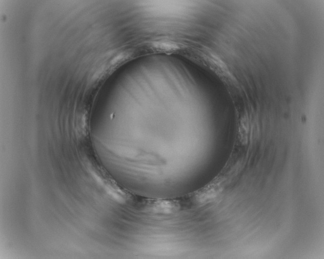 X0000088600330200706081359