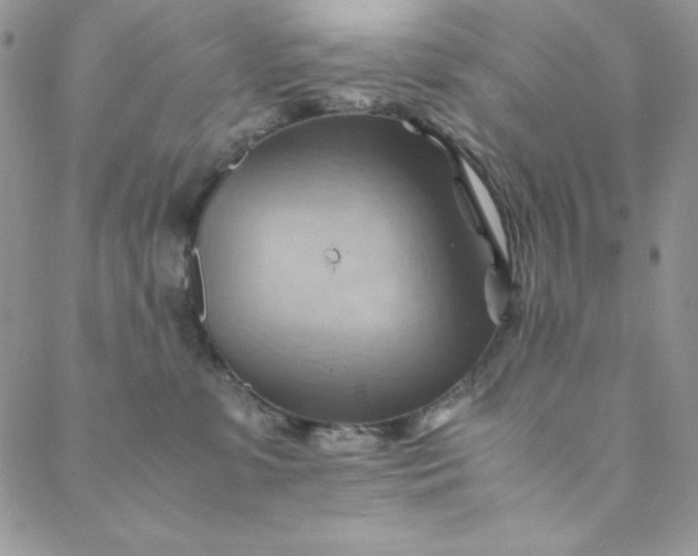 X0000088600331200706081359