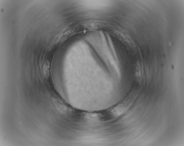 X0000088600332200706081359