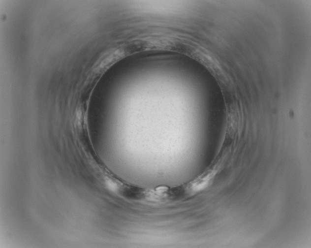 X0000088600333200706081359