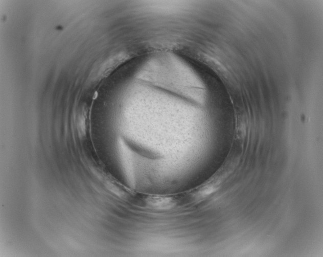 X0000088600334200706081359