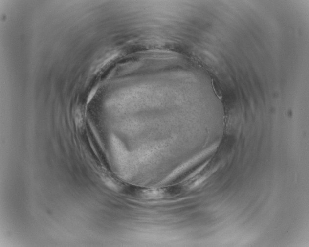 X0000088600335200706081359