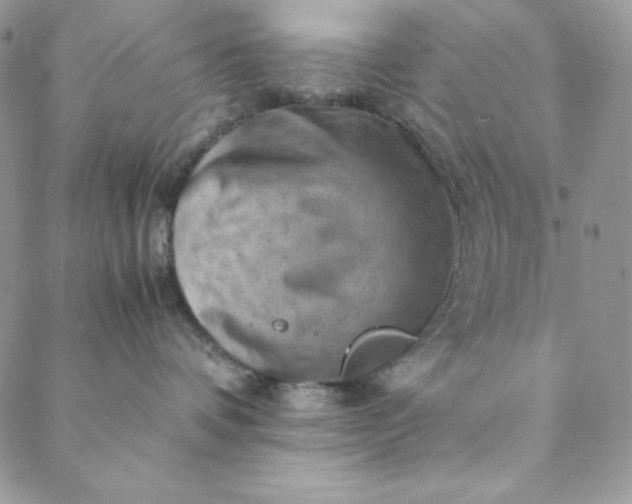 X0000088600336200706081359