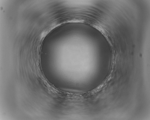 X0000088600337200706081358