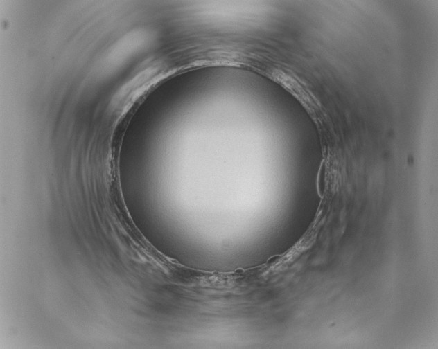 X0000088600338200706081358