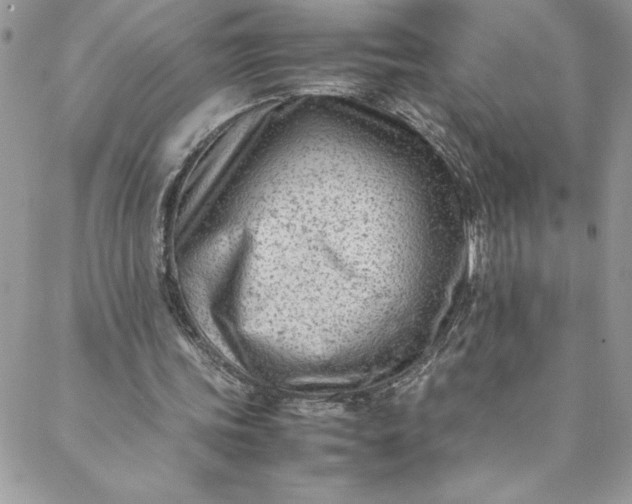 X0000088600339200706081358