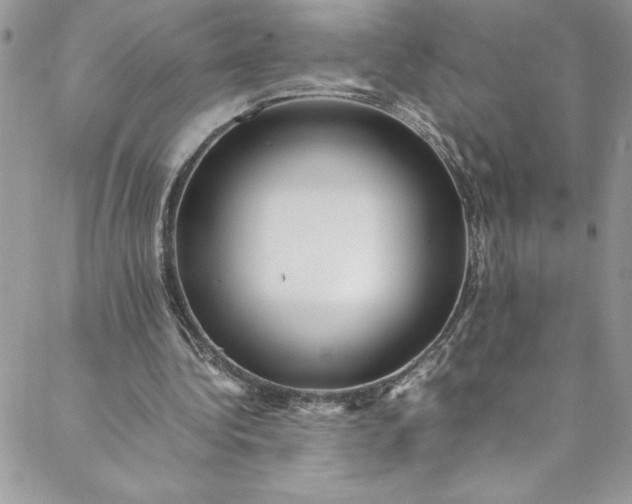 X0000088600340200706081358