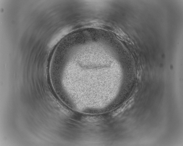 X0000088600341200706081358