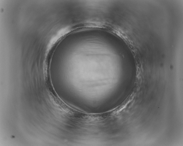 X0000088600343200706081358