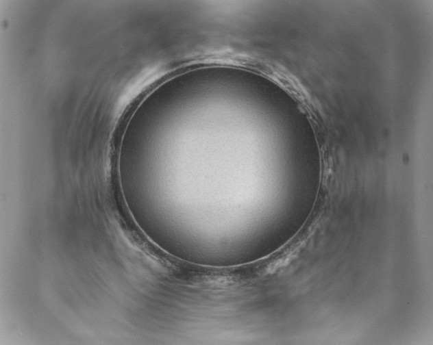 X0000088600344200706081358