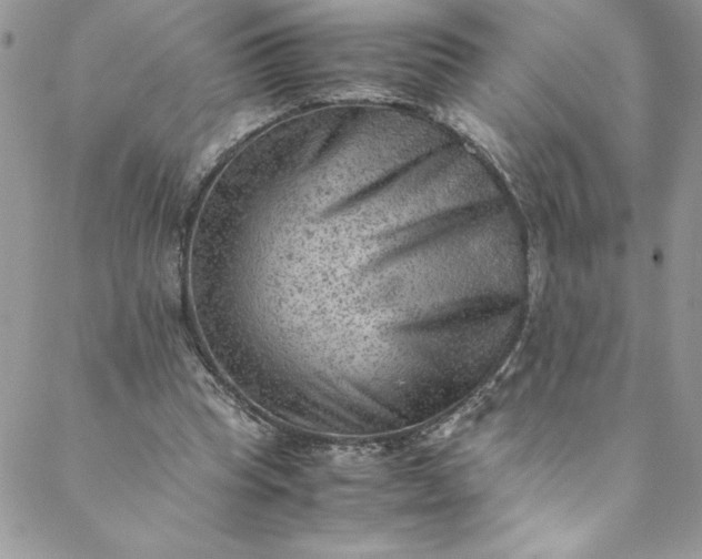 X0000088600345200706081358