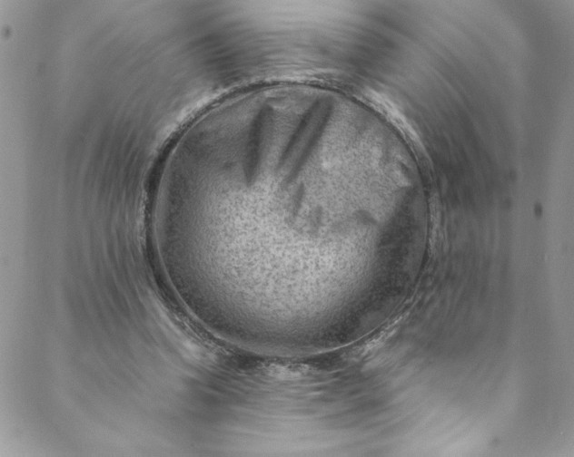 X0000088600346200706081358