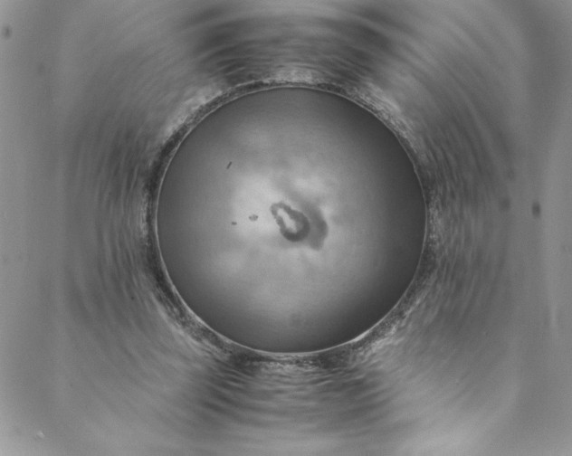 X0000088600347200706081358