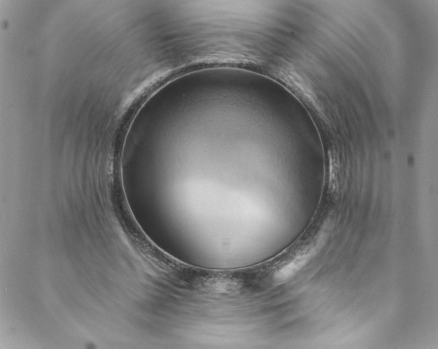 X0000088600348200706081358