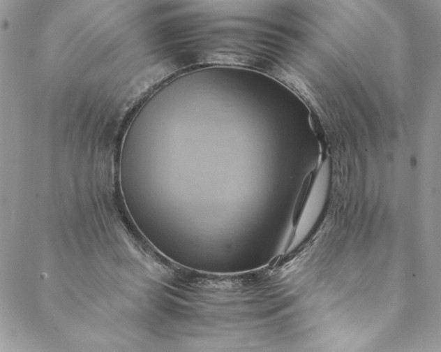 X0000088600349200706081358