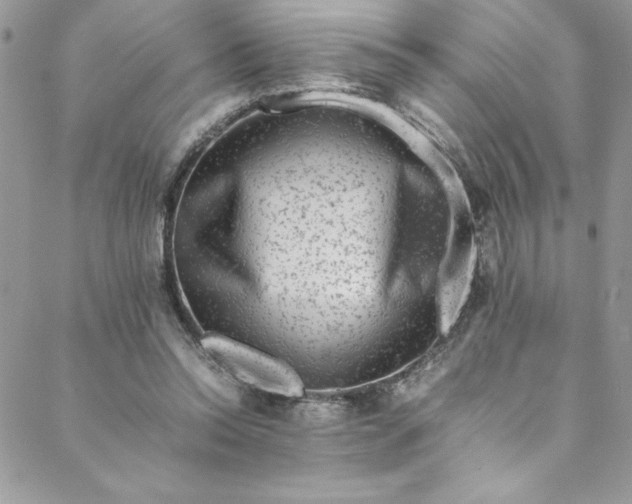 X0000088600350200706081358