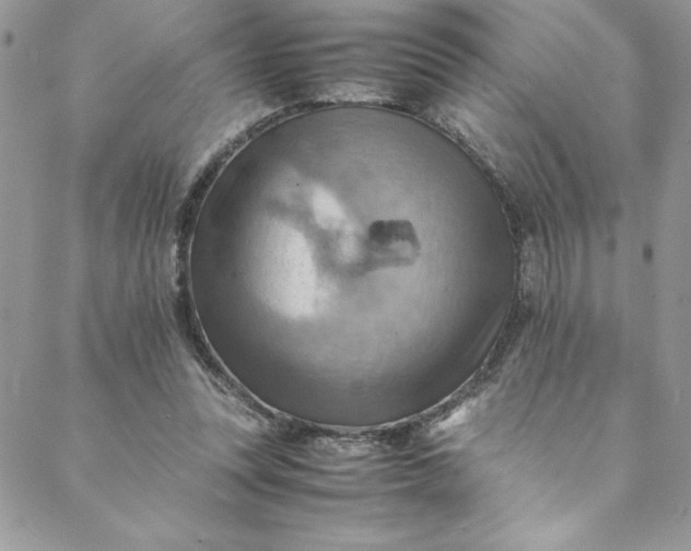 X0000088600351200706081358