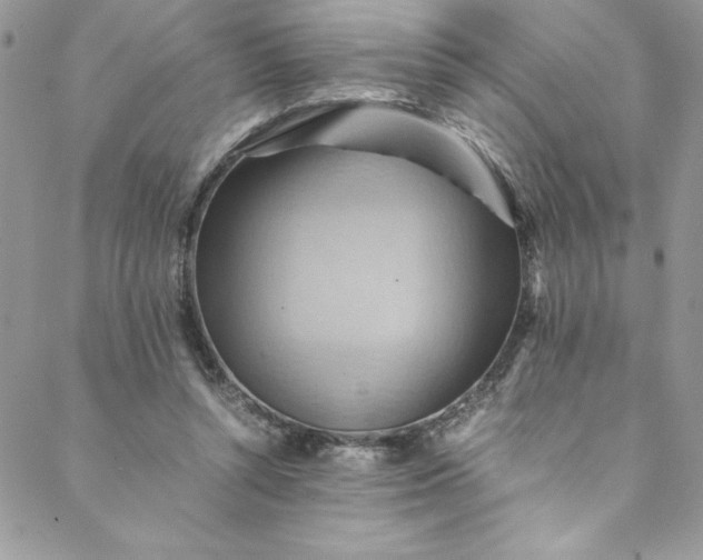 X0000088600352200706081358