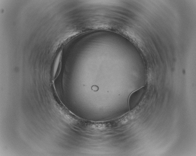 X0000088600353200706081358