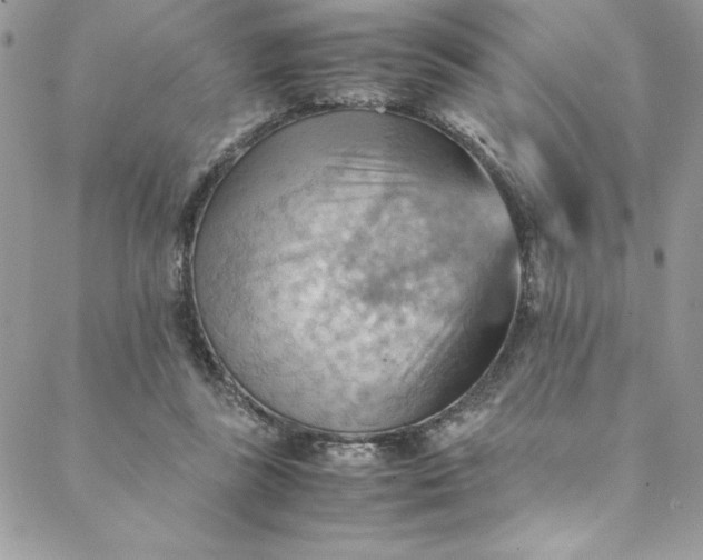 X0000088600355200706081358