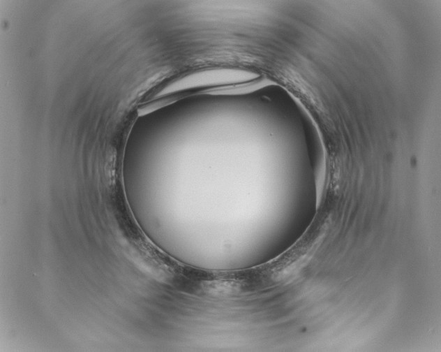 X0000088600356200706081358