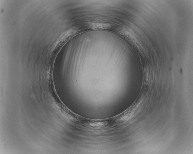 X0000088600357200706081358