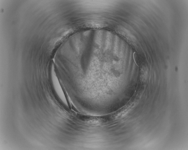 X0000088600358200706081358