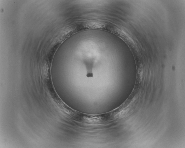 X0000088600359200706081358