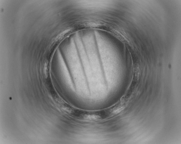 X0000088600360200706081358