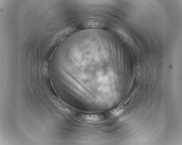 X0000088600361200706081358