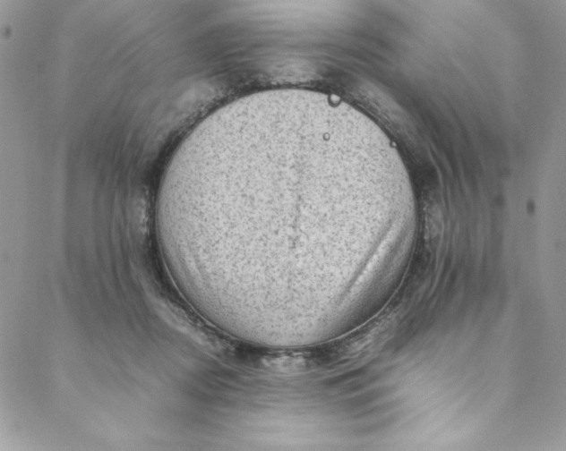 X0000088600362200706081358