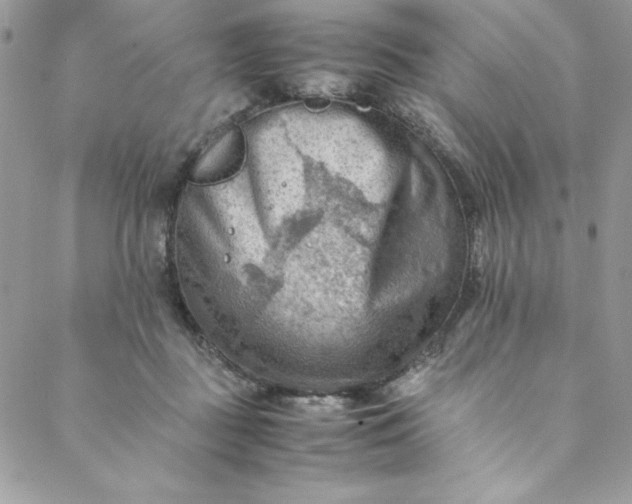 X0000088600363200706081358