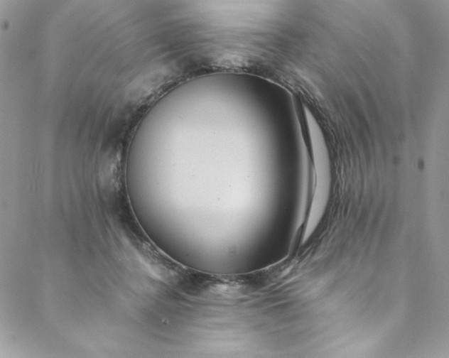 X0000088600364200706081359