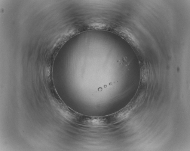 X0000088600365200706081359