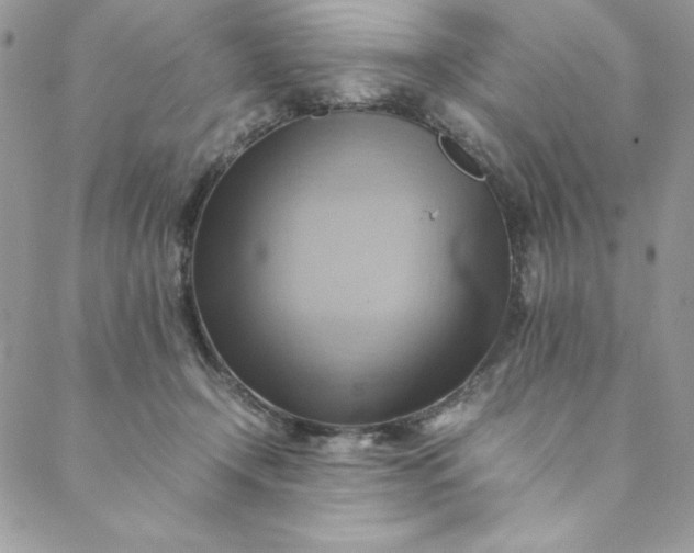 X0000088600366200706081359