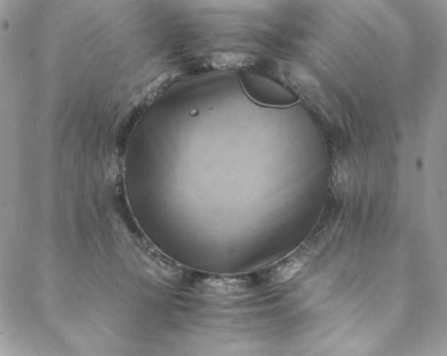 X0000088600367200706081359