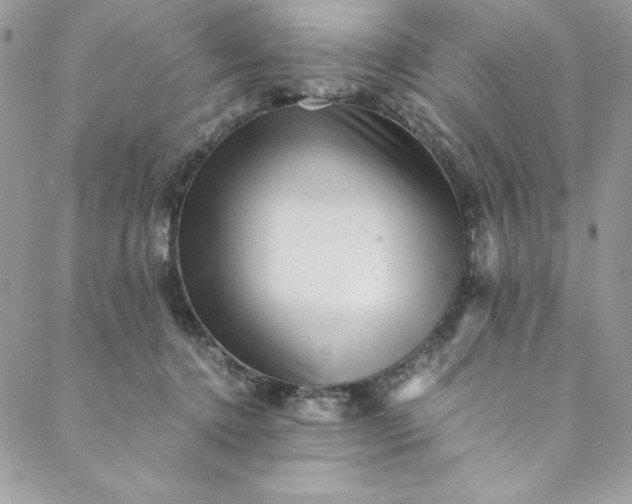 X0000088600368200706081359