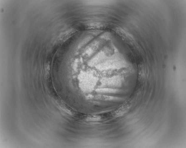 X0000088600369200706081359