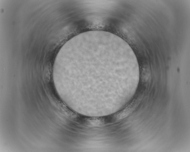 X0000088600370200706081359