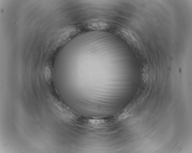 X0000088600371200706081359