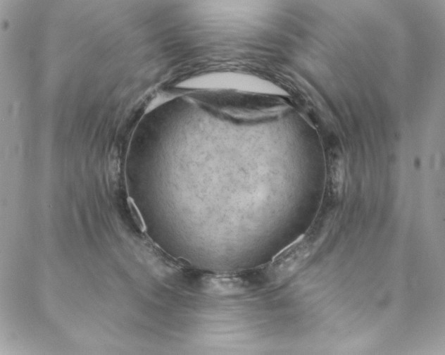 X0000088600372200706081359