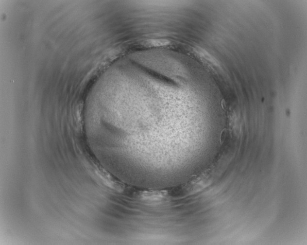 X0000088600373200706081359