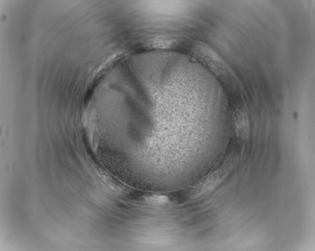 X0000088600374200706081359