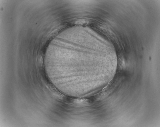 X0000088600375200706081359